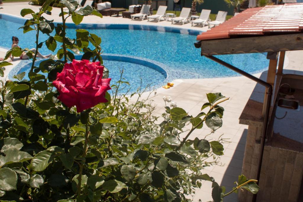 소조폴 Gardenia Vacation Settlement 아파트 호텔 외부 사진